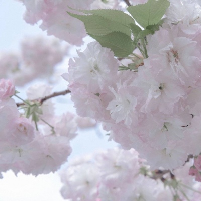 Furry绘画质感提升FurryQQ群